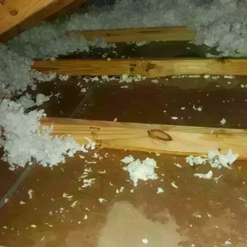 Attic Water Damage in Sedan, KS