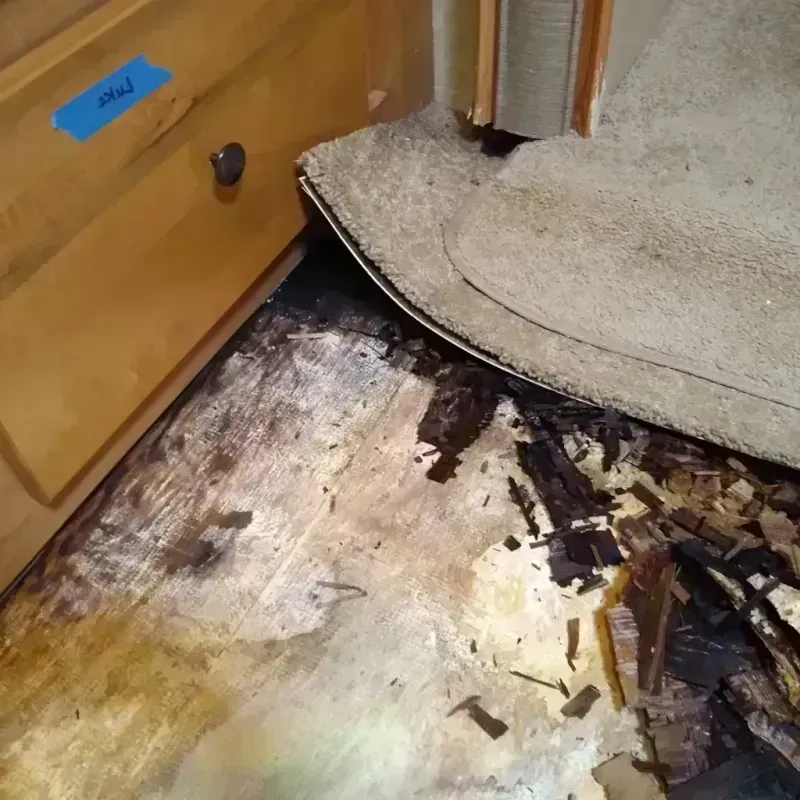 Wood Floor Water Damage in Sedan, KS